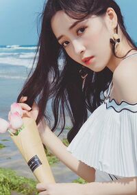 Ye Yu Jun