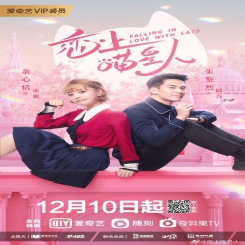 Falling In Love With Cats 2020 / ‏الوقوع في حب القطط‏ تقرير + حلقات مترجمة