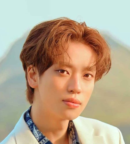 Niel / نيل