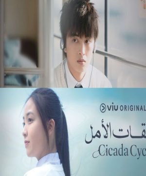 Cicada Cycle / حلقات الأمل تقرير + حلقات مترجمة