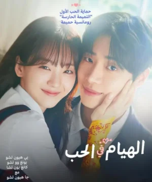 Head over Heels / الهيام في الحب تقرير + حلقات مترجمة